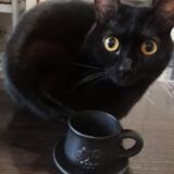 Filiżanka “Winogrona”, czarna glina